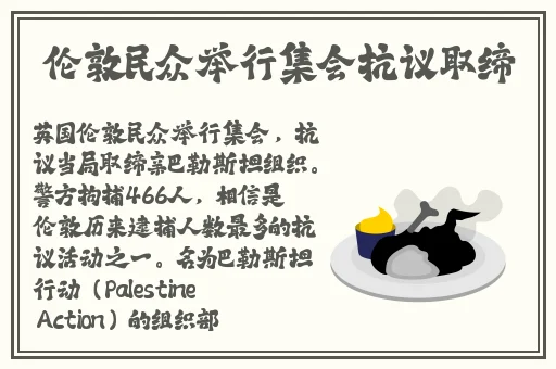 初中生张婉莹暑假作业视频